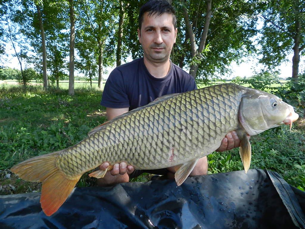 2015/iulie capturi - dscn3329.JPG